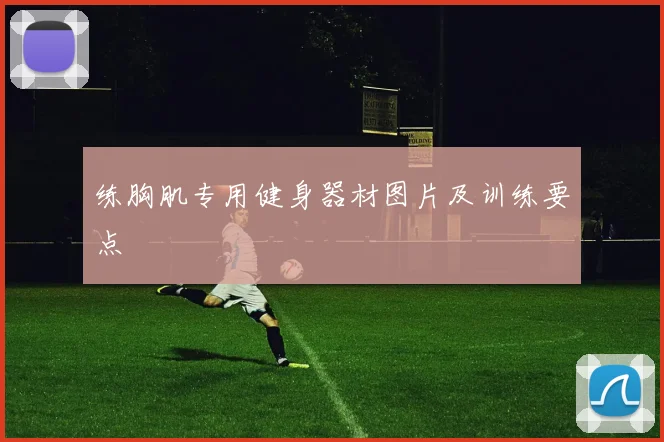 练胸肌专用健身器材图片及训练要点