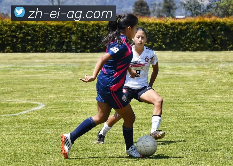 AG娱乐登录APP 高清赛事图